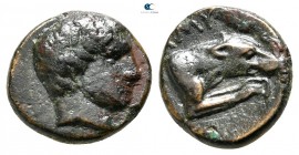 Kings of Macedon. Aigai or Pella mint. Amyntas II 395-393 BC. Bronze Æ