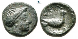 Macedon. Scione 400-350 BC. Bronze Æ