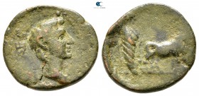 Macedon. Philippi. Drusus, as Caesar 4 BC-AD 23. Bronze Æ