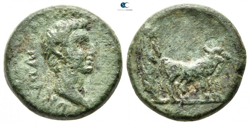 Macedon. Philippi. Drusus, as Caesar 4 BC-AD 23. 
Bronze Æ

17mm., 3,65g.

...