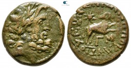 Seleucis and Pieria. Antioch. Pseudo-autonomous issue circa AD 11-17. Bronze Æ