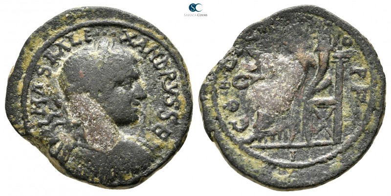 Judaea. Aelia Capitolina (Jerusalem). Severus Alexander AD 222-235. 
Bronze Æ
...