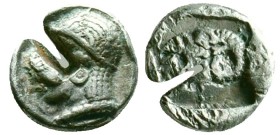 Troas, Kebren. Diobol circa V century BC, Reference: Condition: Very Fine

Weight: 1.02 gr. Diameter: 9.6 mm