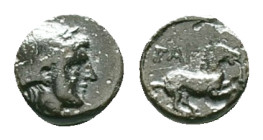 TROAS. Gargara. Ae (Circa late 3rd - early 2nd century BC). Reference: Condition: Very Fine

Weight:0.71 gr. Diameter: 8.3 mm