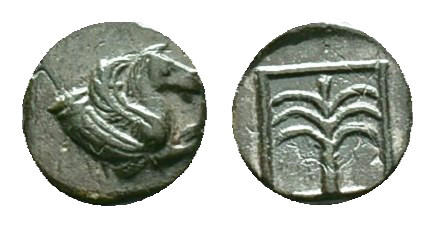 TROAS. Skepsis. Ae (4th-3rd centuries BC). Reference: Condition: Very Fine

We...