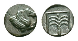 TROAS. Skepsis. Ae (4th-3rd centuries BC). Reference: Condition: Very Fine

Weight: 0.70 gr. Diameter: 8.6 mm