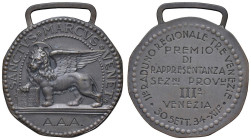 VENEZIA Medaglia 1934 3° premio di rappresentanza sezioni provinciali - Opus: A. Santi AE (g 7,81 - Ø 30 mm)