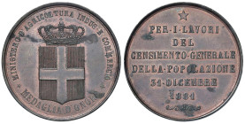 ITALIA Medaglia 1881 Medaglia d'onore per i lavori del censimento generale della popolazione 31 dicembre 1881 - AE (g 20,00 - Ø 32 mm) Macchie al D/ e...