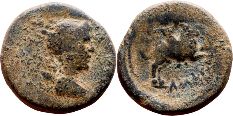 Hellenistic period coin (4-1 century BC) AE Bronze. Obverse: Bust of Apollo. Rev...