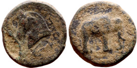 Demetrios I Soter (Seleukdi King: 162-150 BC). AE bronze. Obv.: head of horse left. Rev.: BAΣIΛEΩΣ ΔHMHTPIOY, head of elephant right.