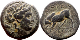 Seleukos I Nikator (Seleukid King: 312-260 BC). AE bronze. Obv.: Winged head of Medusa right, snakes flowing behind. Rev.: BAΣIΛEΩΣ ΣEΛEYKOY; Humped b...