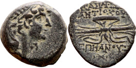 Antiochus IX Cyzicenus (Seleukid King: 114-95 BC). AE bronze. Obv.: diademed head of Antiochus right. Rev.: Titles to right and left of winged thunder...