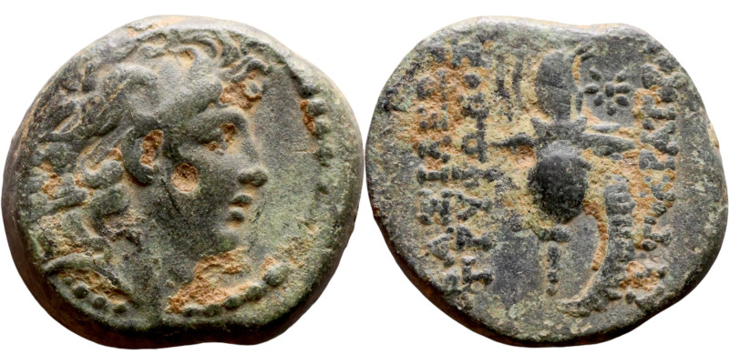 Tryphon (Seleukid King: 142-138 BC). AE bronze. Obv.: diademed bust of Tryphonos...