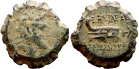 Seleukos II Kalinikos (Seleukid King: 246 - 226 BC) AE bronze. Obv: Laureate head of Apollo right, with wavy locks Rev: Galley