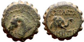 Demetrios I Soter (Seleukdi King: 162-150 BC). AE bronze. Obv.: head of horse left. Rev.: BAΣIΛEΩΣ ΔHMHTPIOY, head of elephant right.