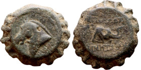 Demetrios I Soter (Seleukdi King: 162-150 BC). AE bronze. Obv.: head of horse left. Rev.: BAΣIΛEΩΣ ΔHMHTPIOY, head of elephant right.