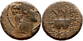 Antiochos X Eusebes (Seleukid King: 95-83 BC). AE bronze. Obv.:  Diademed head of Antiochus X right, with fringe of curly beard Rev: Pilei of the Dios...