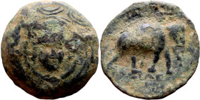 Antiochos III The Great (Seleukid King: 223-187 BC). AE bronze. Obv: Macedonian shield with gorgoneion in center Rev: Elephant standing right