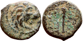 Antiochos VII Sidetes (Seleukid King: 138-129 BC ) bronze coins. Obv.: Head of Lion. Rev.: BAΣIΛEΩΣ ANTIOXOY EYEPΓETOY Club