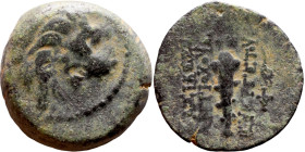 Antiochos VII Sidetes (Seleukid King: 138-129 BC ) bronze coins. Obv.: Head of Lion. Rev.: BAΣIΛEΩΣ ANTIOXOY EYEPΓETOY Club