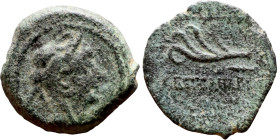 Antiochus IX Cyzicenus (Seleukid King: 114-95 BC). AE bronze. Obv.: Bearded head of King right in elephant skin headdress. Obv: Palm
