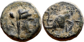 Antiochus IV Epiphanes (Seleukid King: 175-172 BC). AE bronze. Obv.: Veiled, diademed bust of Laodice IV right Rev.:  Head elephant