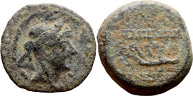 Antiochus IX Cyzicenus (Seleukid King: 114-95 BC). AE bronze. Obv.: Bearded head of King right in elephant skin headdress. Obv: Palm