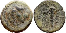 Antiochos VII Sidetes (Seleukid King: 138-129 BC ) bronze coins. Obv.: Head of Lion. Rev.: BAΣIΛEΩΣ ANTIOXOY EYEPΓETOY Club