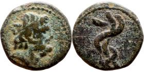 Hellenistic period coin (4-1 century BC) AE Bronze. Obverse: Laureate head of Asklepios to right Rev: Serpent coiled around omphalos; in inner left fi...