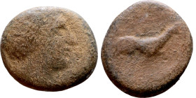 Uncertain Ruler (Seleukid Kings: III-I BC). AE bronze. Obv.: Bust of Apollo right. Rev.: Horse