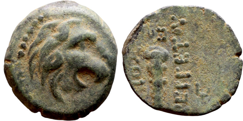 Antiochos VII Sidetes (Seleukid King: 138-129 BC ) bronze coins. Obv.: Head of L...