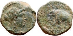 Antiochos III The Great (Seleukid King: 223-187 BC). AE bronze. Obv.: Laureate head of Apollo Rev.: Elephant standing left