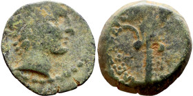 Hellenistic period coin (4-1 century BC) AE Bronze