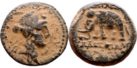 Antiochos III The Great (Seleukid King: 223-187 BC). AE bronze. Obv.: Laureate head of Apollo Rev.: Elephant standing left