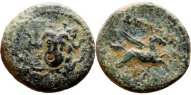 Hellenistic period coin (4-1 century BC) AE Bronze Obv: Macedonian Shield. Rev: Pegasus