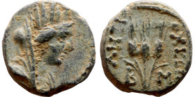 Hellenistic period coin (4-1 century BC) AE Bronze Obv: Bust of Tyche. Rev: Ears of grain