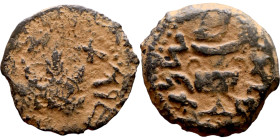 JUDAEA. Jerusalem mint. First Jewish Revolt (66-70 AD). AE prutah. Obv.: Two handled amphora. Rev.: vine leaf on small branch, bears the legend "for t...