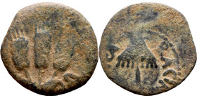 JUDAEA. Jerusalem mint. Agrippa I (under Claudius, 37-44 AD). AE prutah. Obv.: ΒΑCΙΛΕWC ΑΓΡΙΠΑ; Umbrella-like canopy with fringes. Rev.: Three ears of...