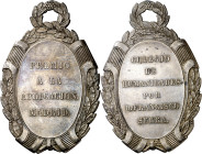 s/d. Madrid. Colegio de Humanidades por D. Francisco Serra. Premio a la aplicación. Ovalada. Plata. 27,99 g. 56x37 mm. EBC+.