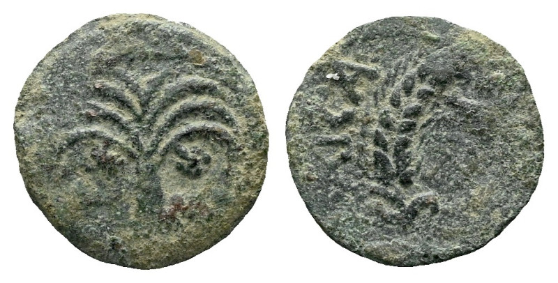 Judaea, Procurators. Marcus Ambibulus, 9-12 Jerusalem Prutah circa 9-12, Æ 16.00...
