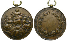 France Medal (Starting Bid £ 1)