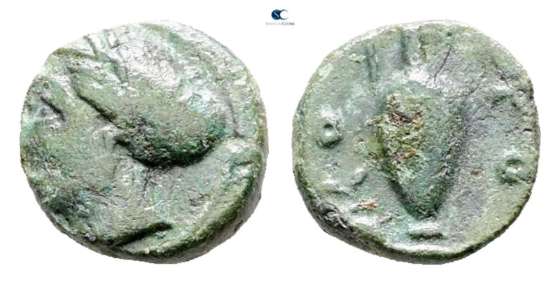 Mysia. Prokonnesos circa 411-387 BC. 
Bronze Æ

11 mm, 1,22 g



Nearly V...