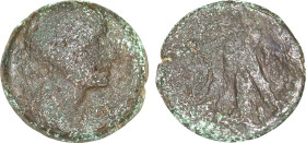 PTOLEMAIC KINGS of EGYPT.
Kleopatra VII 51-30 BC. Æ Diobol – 80 Drachmai (27mm, 18.83g). Alexandreia mint.
Obv: Diademed and draped bust right.
Rev: B...