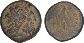 Ptolemaic Kingdom of Egypt. 
Ptolemy III Euergetes 246-222 BC. AE Obol (23.9 mm, 10.16 g), Tyre.
Obv. Laureate head of Zeus Ammon to right.
Rev. ΠΤΟΛΕ...