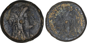 Ptolemaic Kingdom of Egypt. 
EGYPT - LAGID OR PTOLEMAIC KINGDOM - PTOLEMY VI PHILOMETOR
Trihemiobol (27.8mm, 19.9 g)c. 180-176 BC.  Alexandria, Egypt ...