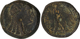 Ptolemaic Kingdom of Egypt. 
EGYPT - LAGID OR PTOLEMAIC KINGDOM - PTOLEMY VI PHILOMETOR
Trihemiobol (27mm, 15.20 g) c. 180-176 BC.  Alexandria, Egypt ...