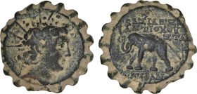Seleukid Kingdom.
Antiochos VI - Elephant Unit 144-142 BC. Antioch (23.9mm, 9.05 g)
Obv: radiate and diademed head of Antiochos VI right. 
Rev: BASILE...