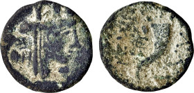Decapolis.
Gadara 45/4 BC, Æ (19 mm, 4.82 g). 
Obv: Bust of Tyche r., draped wearing turreted crown and veil; behind, palm branch. Dotted border. 
Rev...