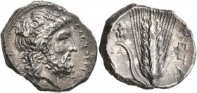 LUCANIA. Metapontion. Circa 340-330 BC. Didrachm or Nomos (Silver, 22 mm, 7.52 g, 5 h). EΛEYΘEPIOΣ Laureate head of Zeus Eleutherios to right; behind,...