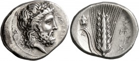 LUCANIA. Metapontion. Circa 340-330 BC. Didrachm or Nomos (Silver, 24 mm, 7.47 g, 1 h). EΛEYΘEP[IOΣ] Laureate head of Zeus Eleutherios to right; behin...